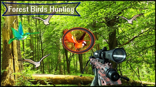 森林鸟狩猎图1
