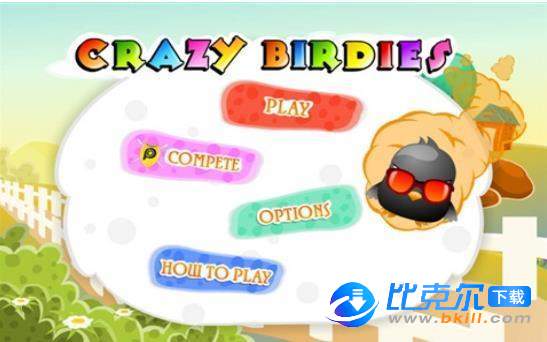 crazy bird图3