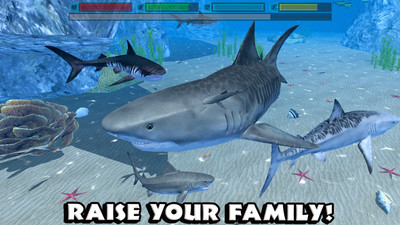 鲨鱼模拟器图4