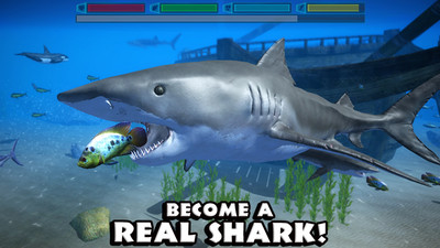 鲨鱼模拟器图1