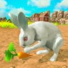 我的兔子模拟器