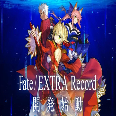 Fate EXTRA Record
