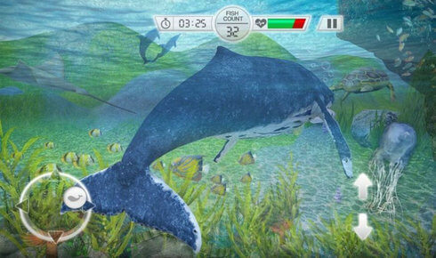 全民养鲸鱼红包版图3