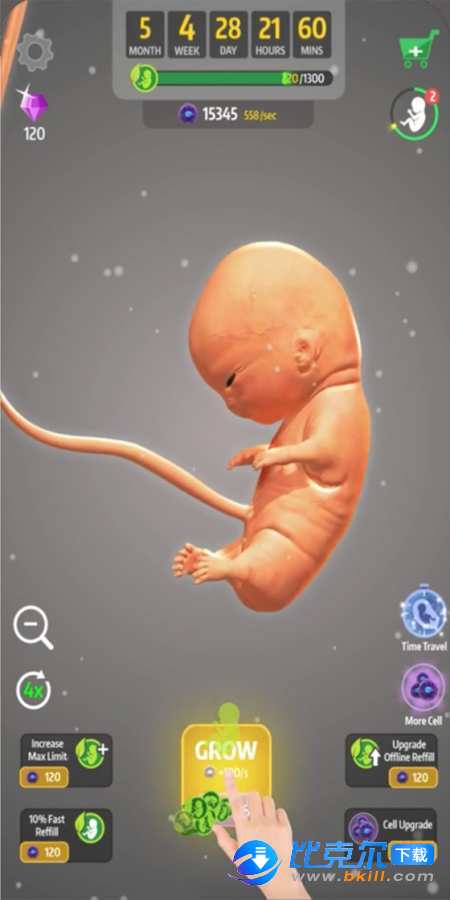 怀胎9月图4