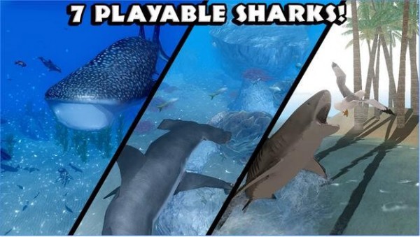 终极鲨鱼模拟图3