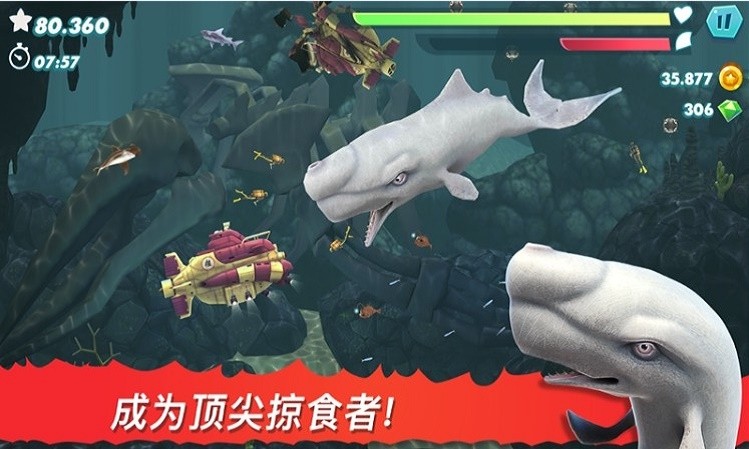 饥饿大白鲨图3