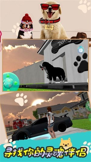 模拟狗狗的快乐图3