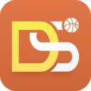 DS篮球