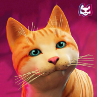 Stray Game Simulator Cat