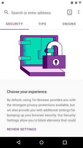 Tor Browser图1