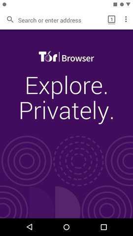 Tor Browser图3