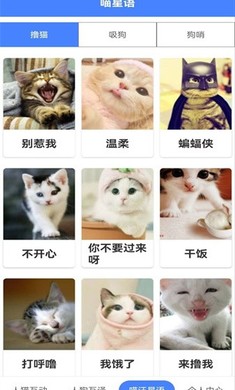 萌趣猫狗翻译器图2