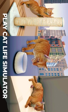 猫咪历险记大都市免广告版图1